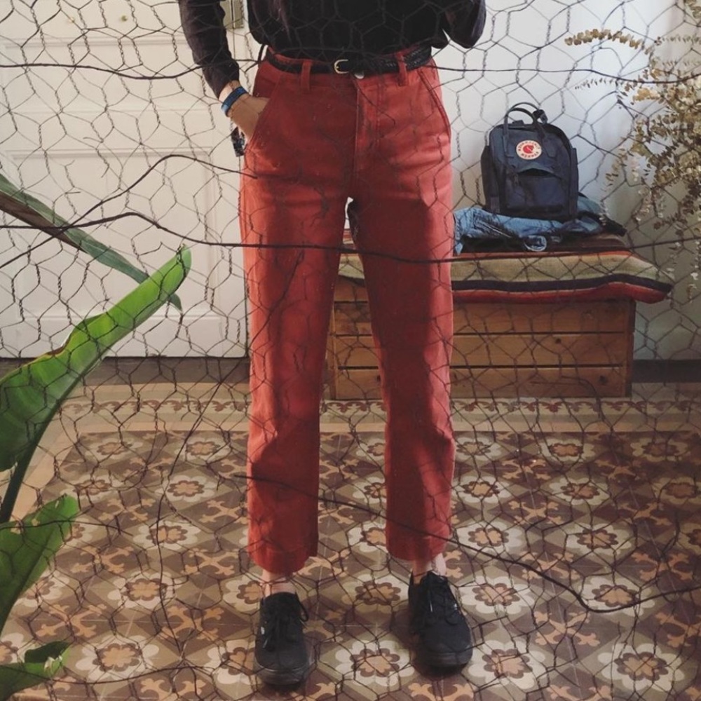 Everlane Straight Leg Crop in Rust